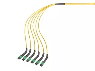 MPO Cable 