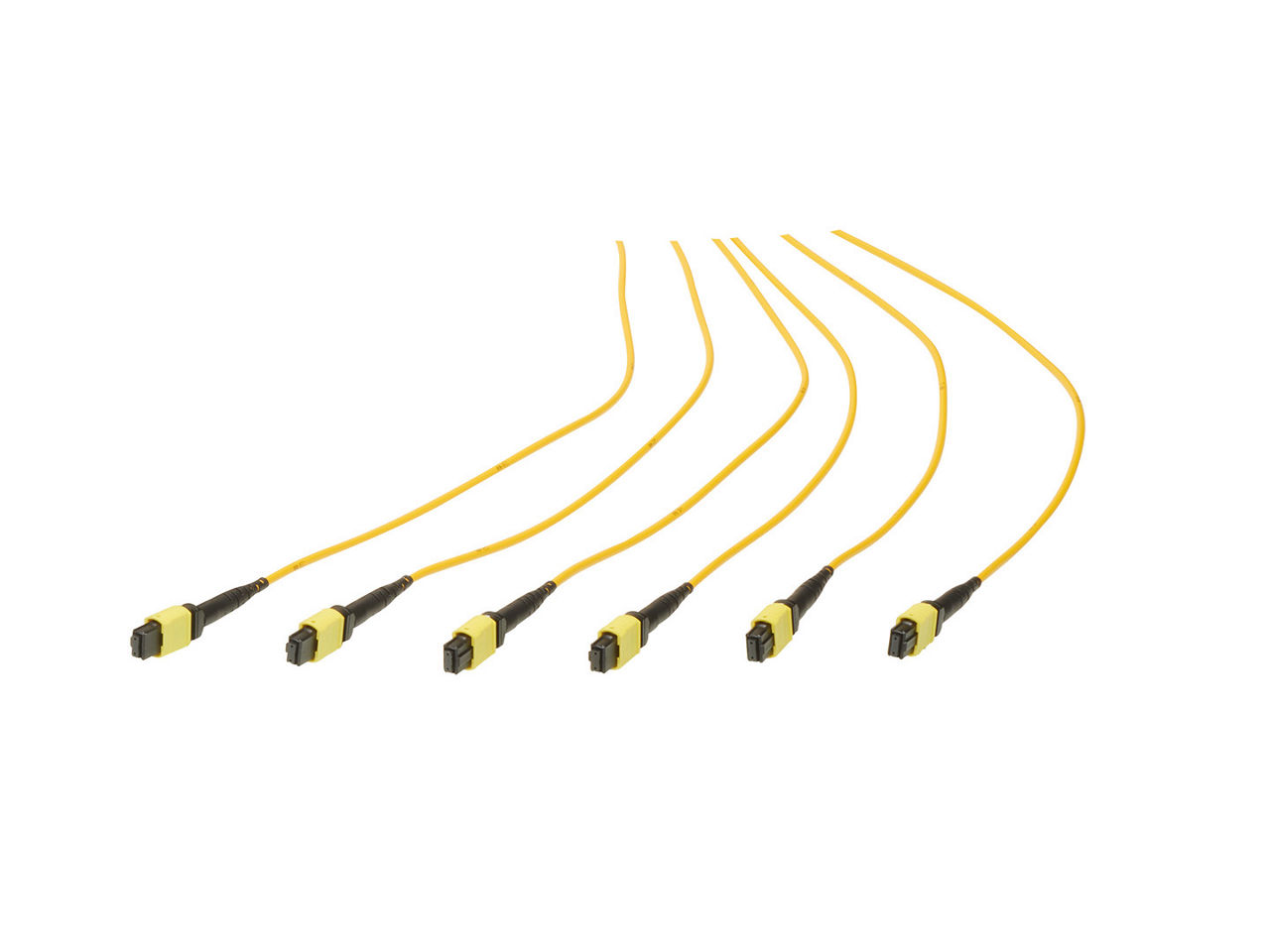 72F OptoTrunk Cables