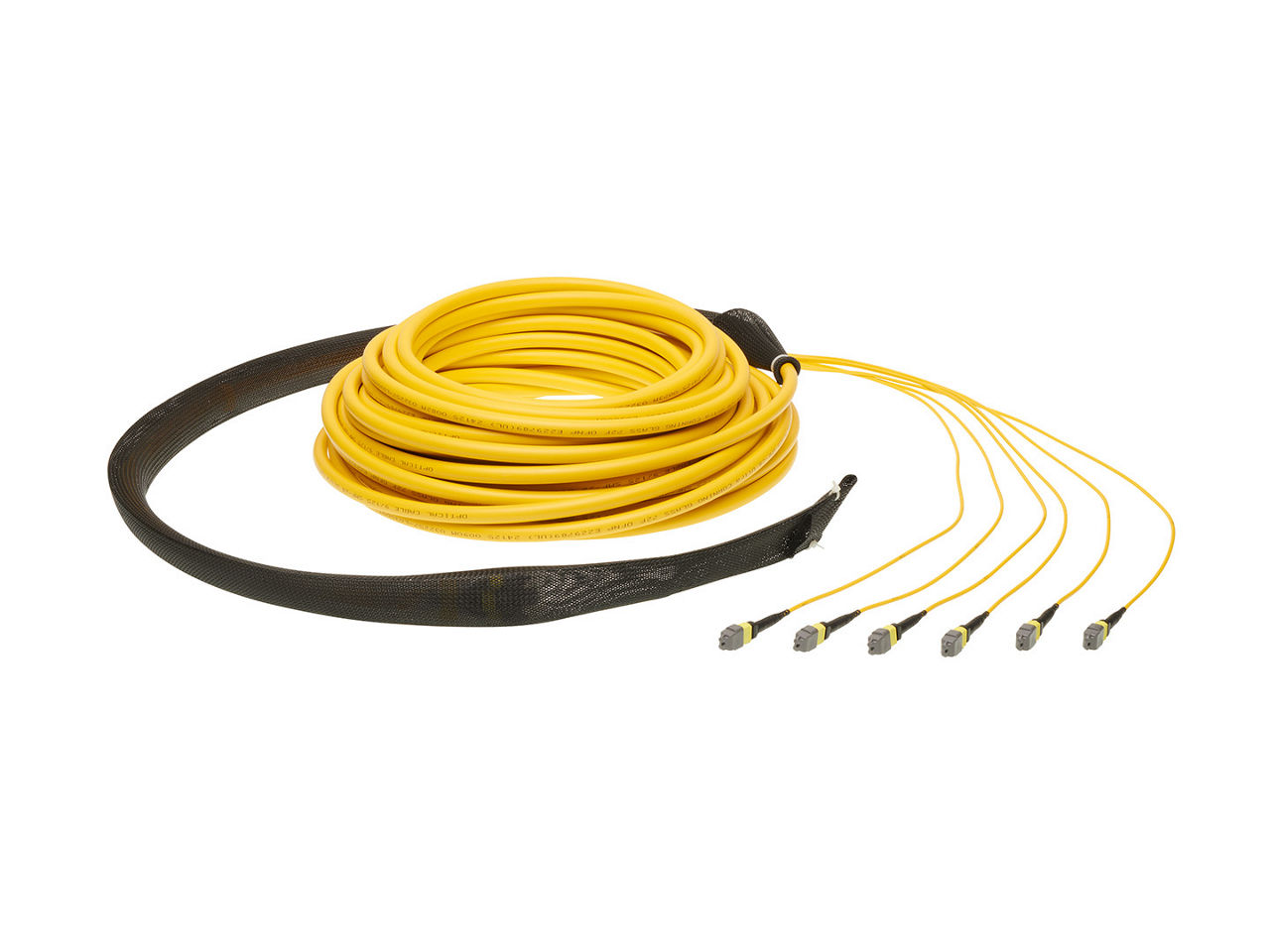 72F OptoTrunk Cable with Caps