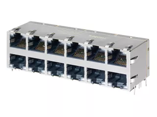 Molex RJ45 magnetic jack with a 2-by-6 port configuration. 