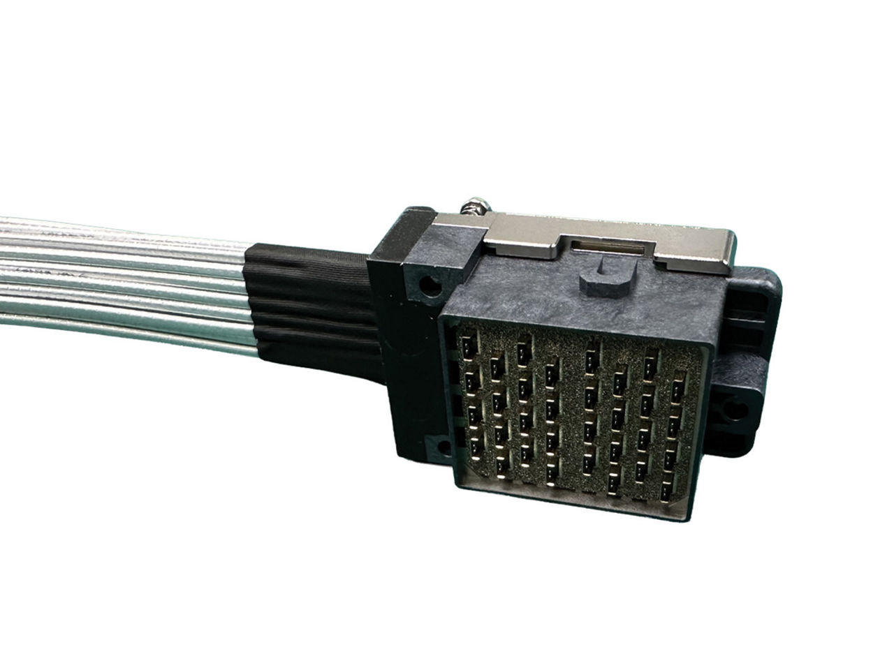 Molex 224G CX2-DS 32-differential pair cable assembly.