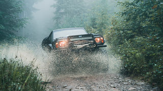 Car in Forest