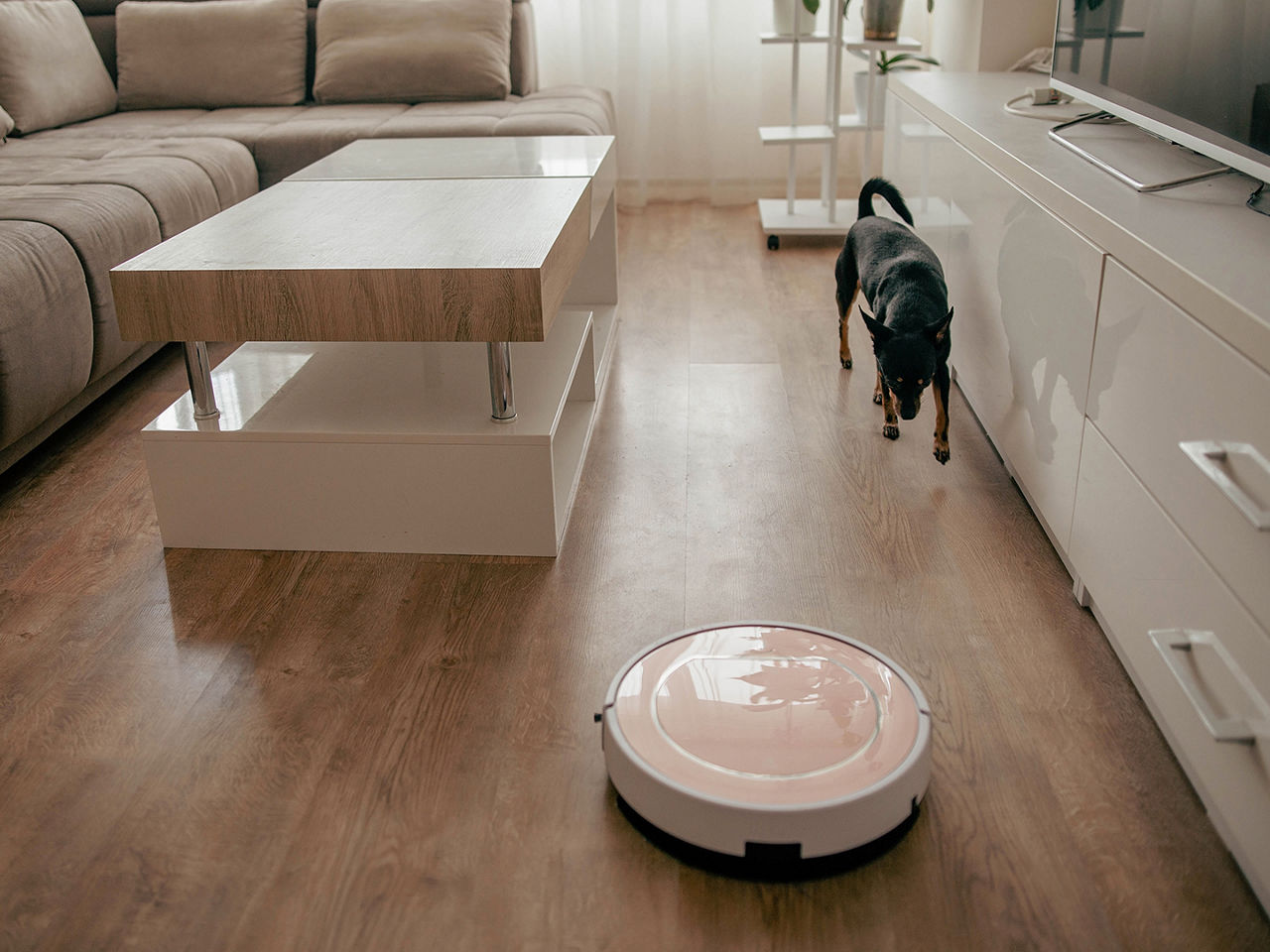 Robotics Report