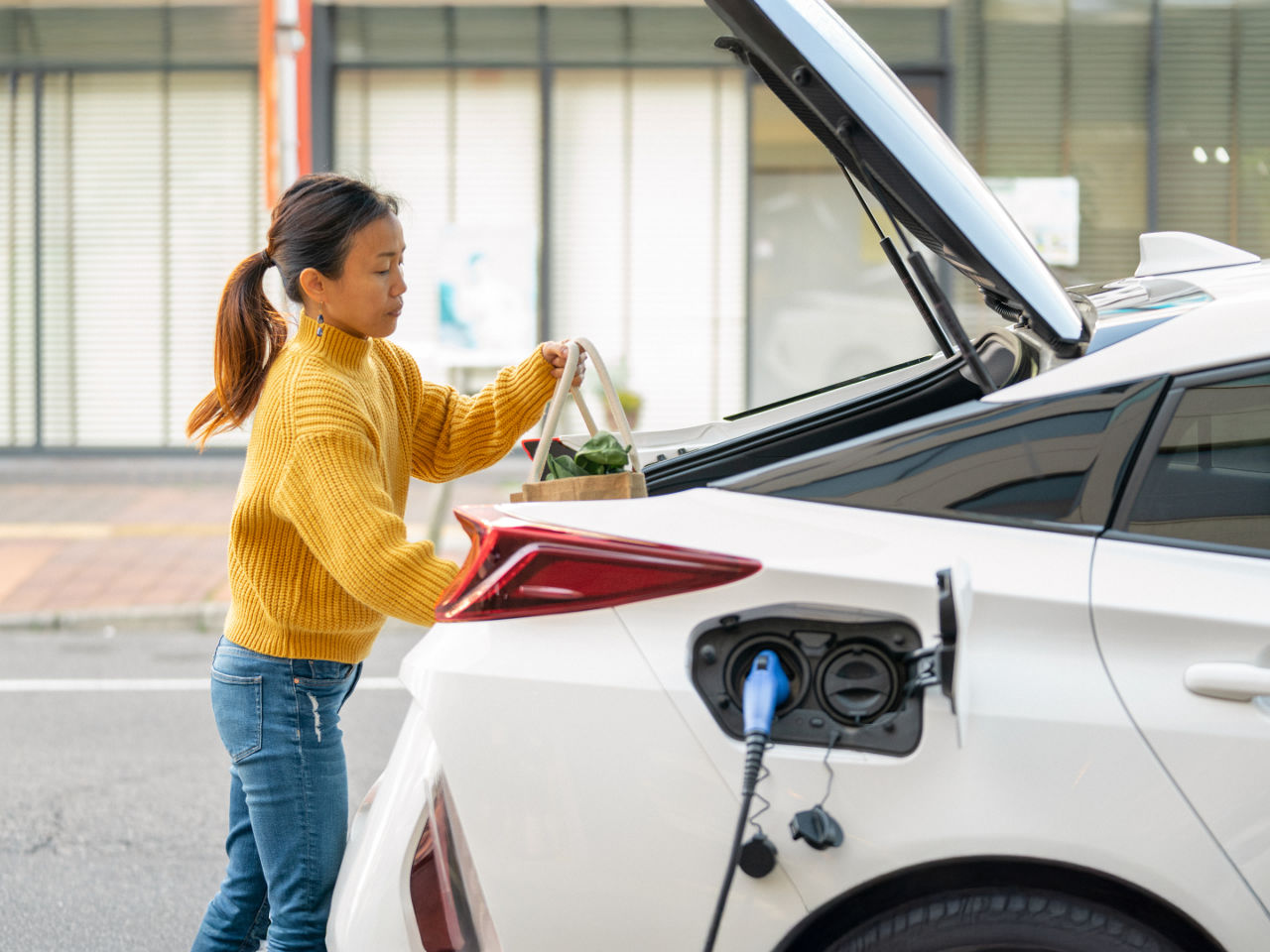 Hybrid Electric Vehicle Architecture 