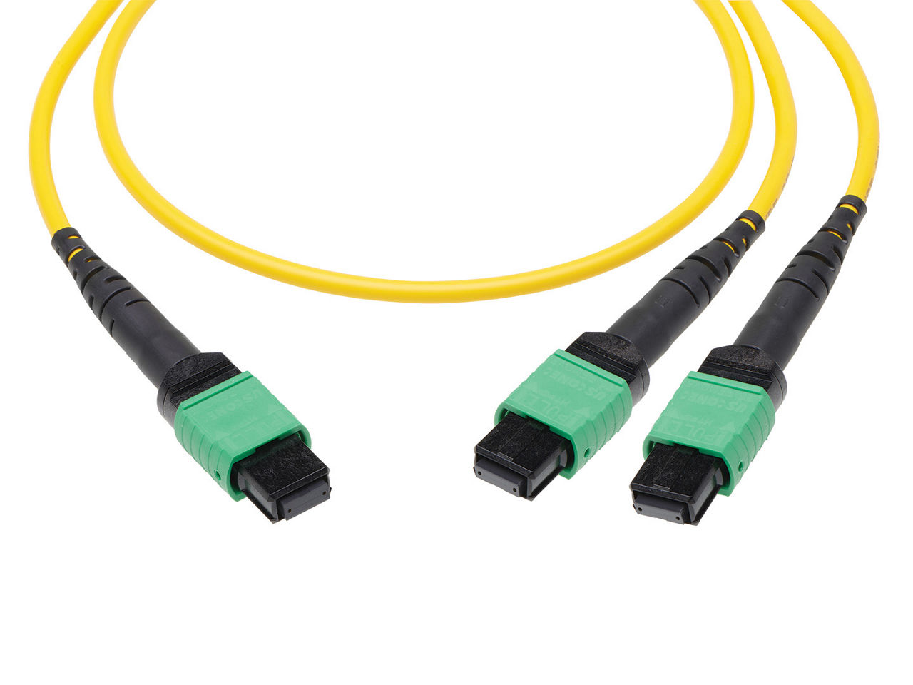  16-fiber MPO to two 8-fiber MPO connector fiber patch cable. 