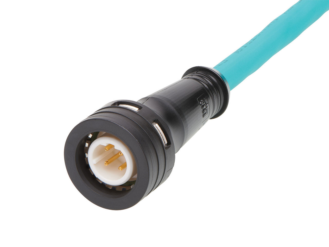 M12 Cable Assembly
