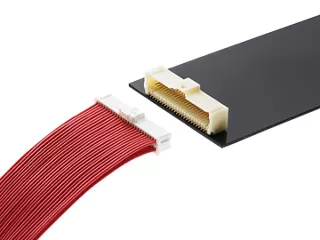 Molex Pico-Clasp dual-row connector and cable assembly. 