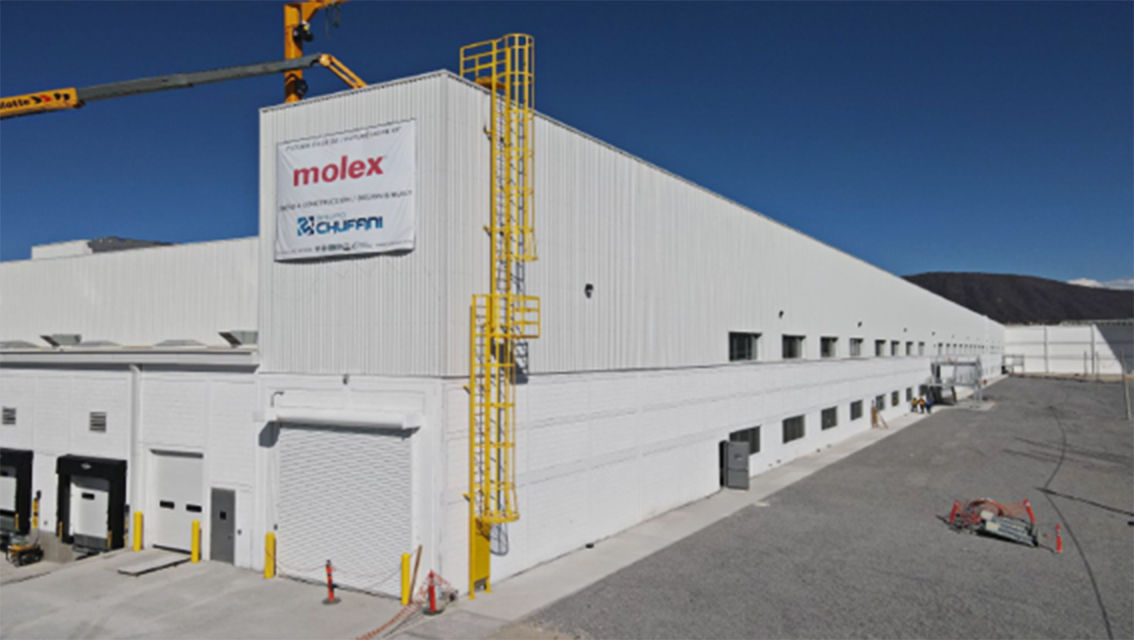 molex guad