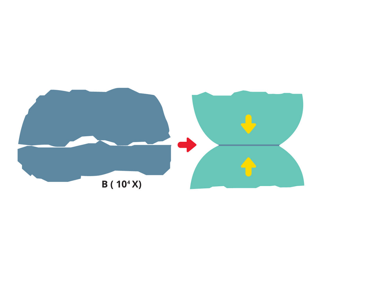 Illustration showing how force flattens microscopic asperities 