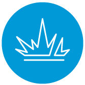 Shock Resistance Icon 