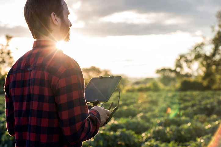 Man, Farmer or Pilot Using a Drone Remote Controller with a digital tablet at Sunset in a field.